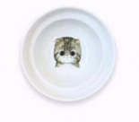 Ergonomic Spine Protection Bowl Holder for Cats